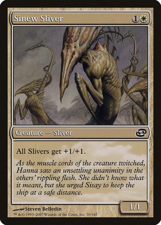 Sinew Sliver (Italian)