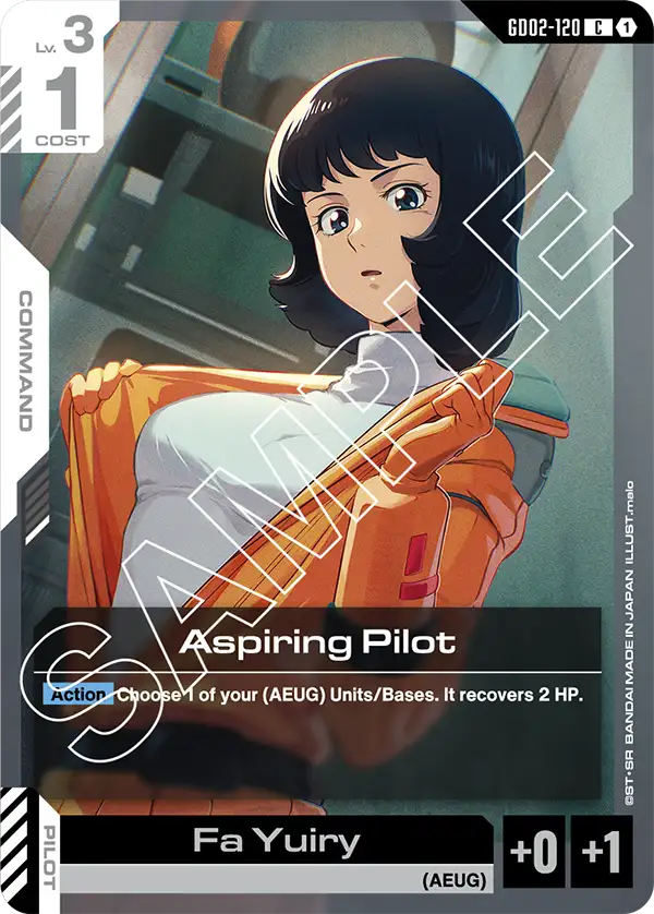 Aspiring Pilot (GD02)